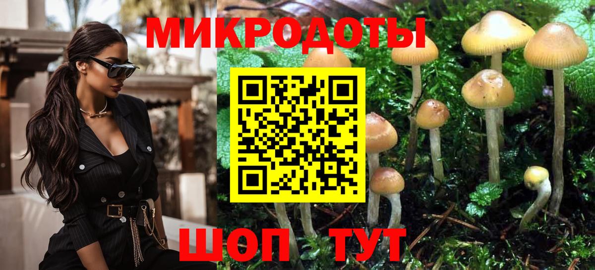 Псилоцибиновые грибы MAGIC MUSHROOMS Клин